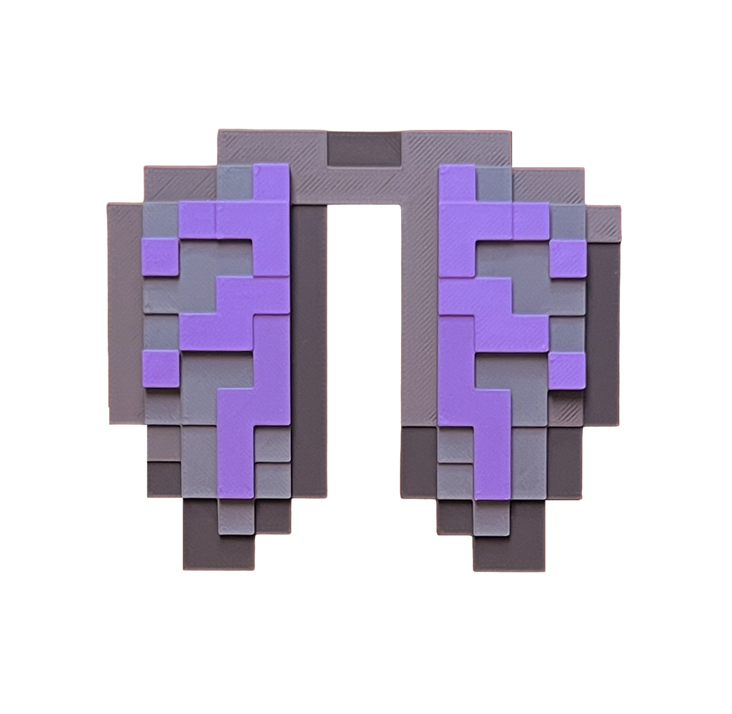Elytra