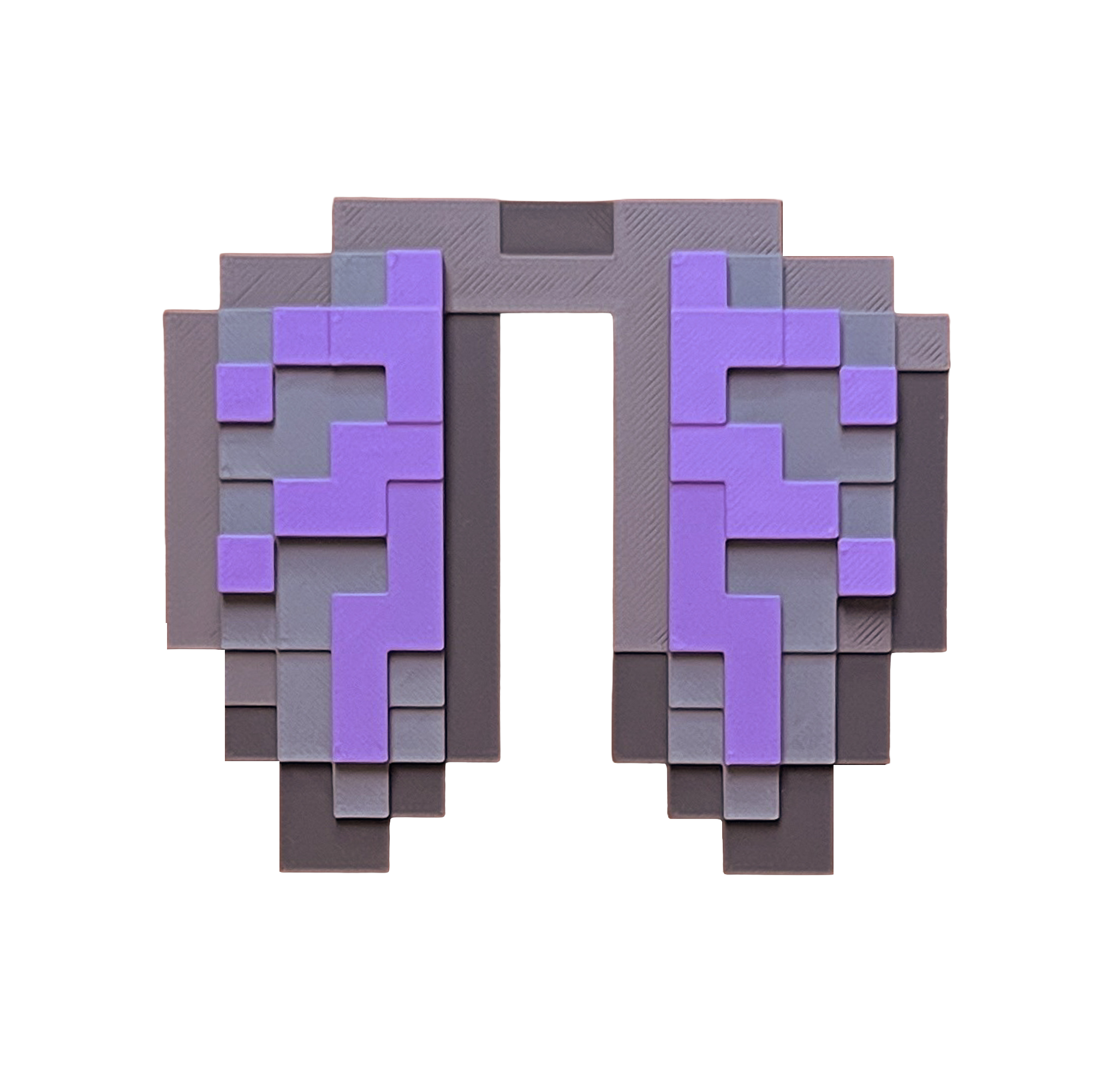Elytra