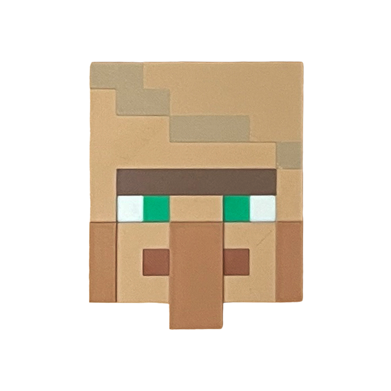 Villager Head